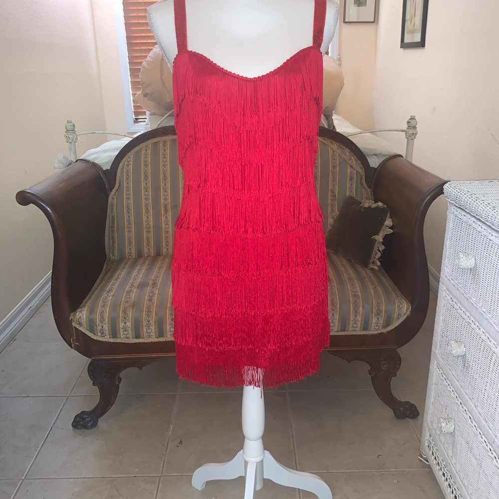 Elegant Red Fringe Dress